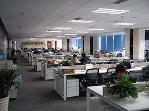 天職國際會(huì)計(jì)師事務(wù)所（特殊普通合伙） 北京信息技術(shù)咨詢服務(wù)解析